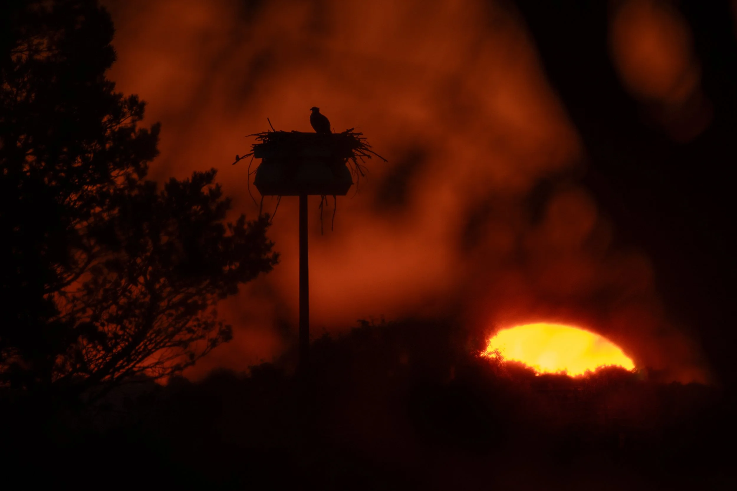 D85_3979-Edit.jpg
