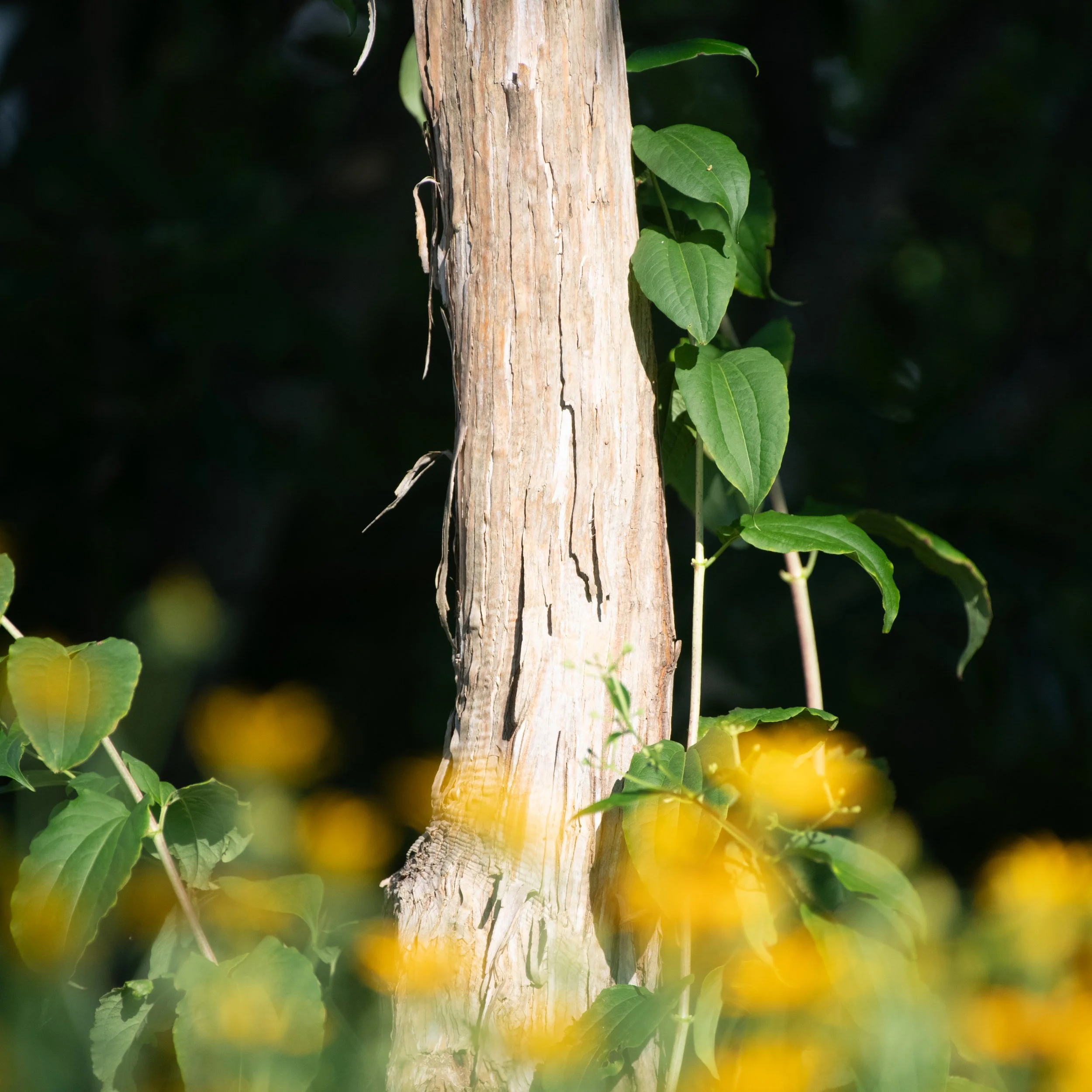 D85_0159.jpg