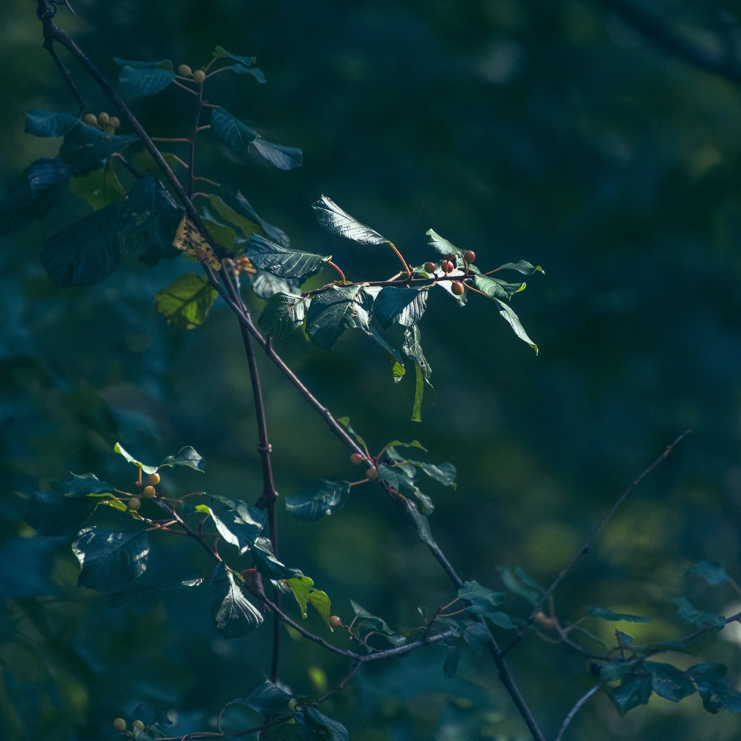 D85_1573.jpg