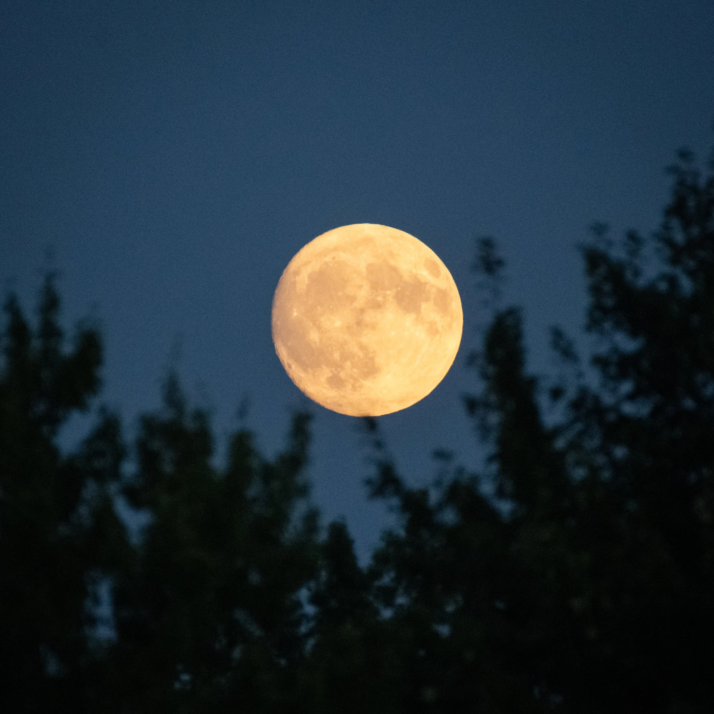D85_3153.jpg