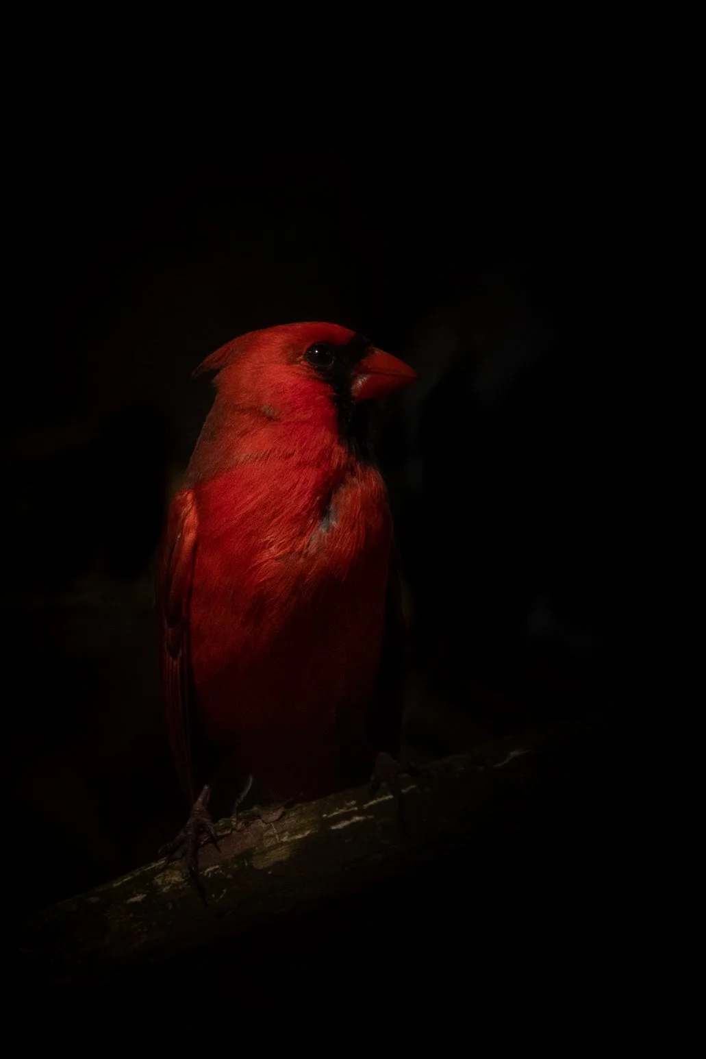 DSC_4194.jpg