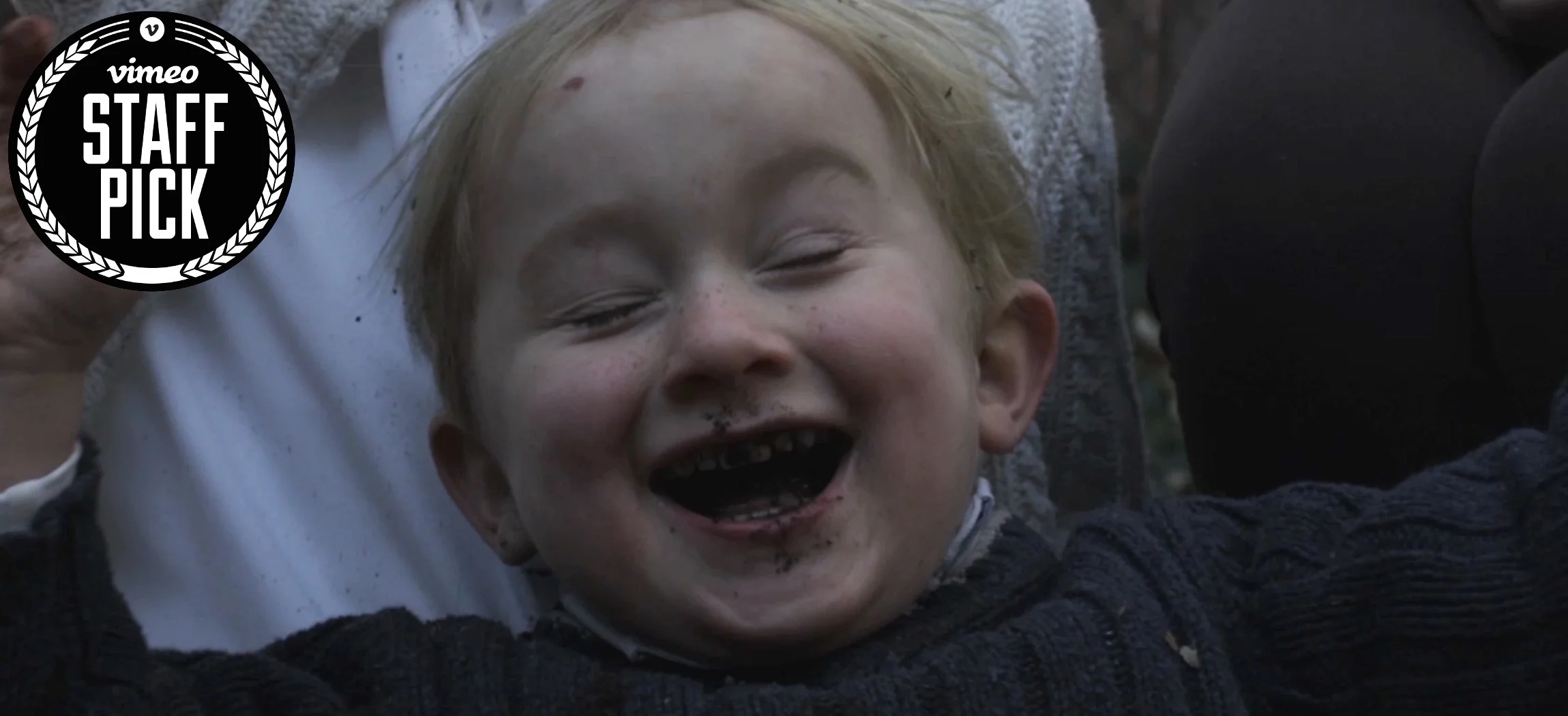 FALCONRY GRAB1 copy2.jpeg