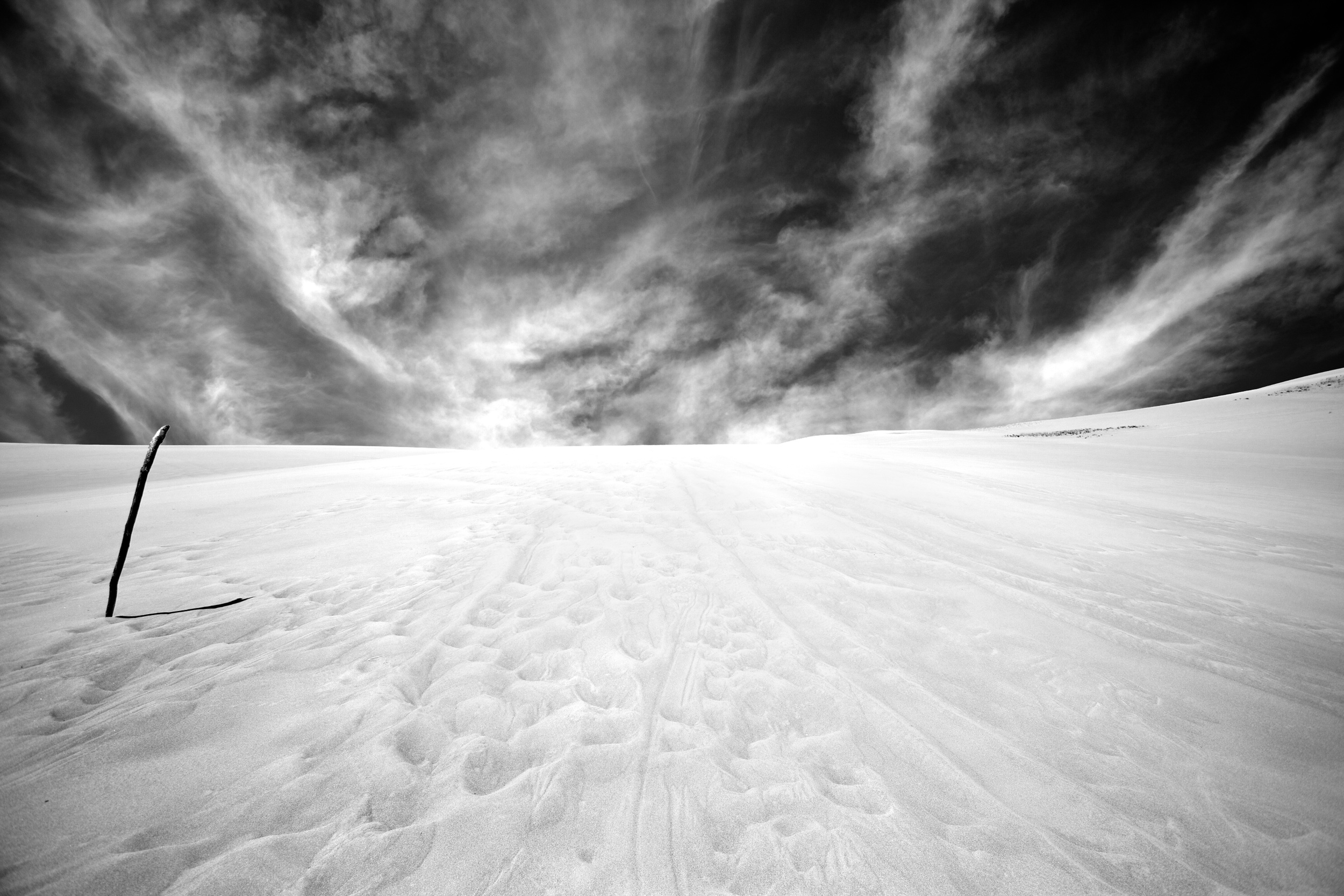 IMG_3358 - Version 2.jpg