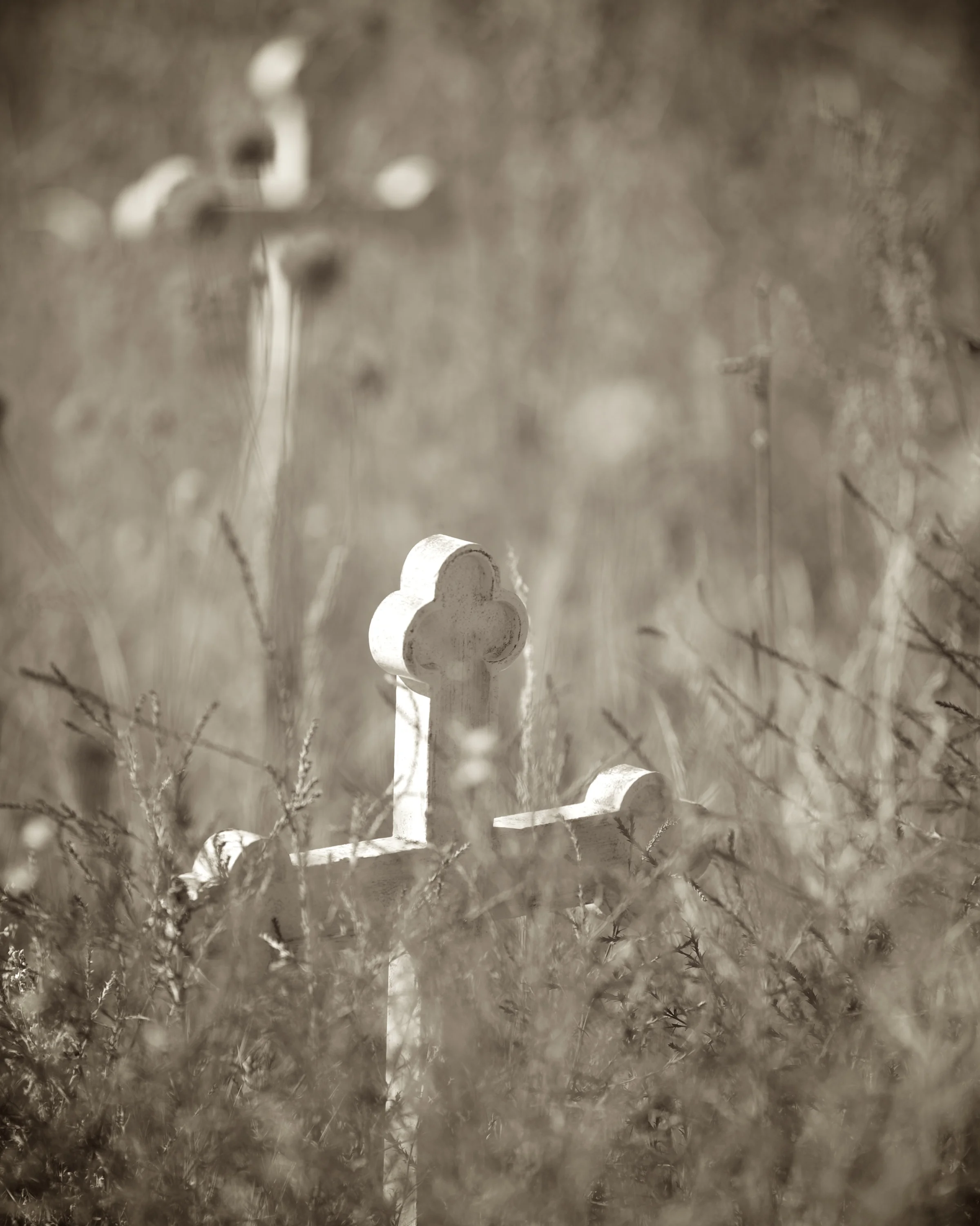 IMG_9066 - Version 2.jpg