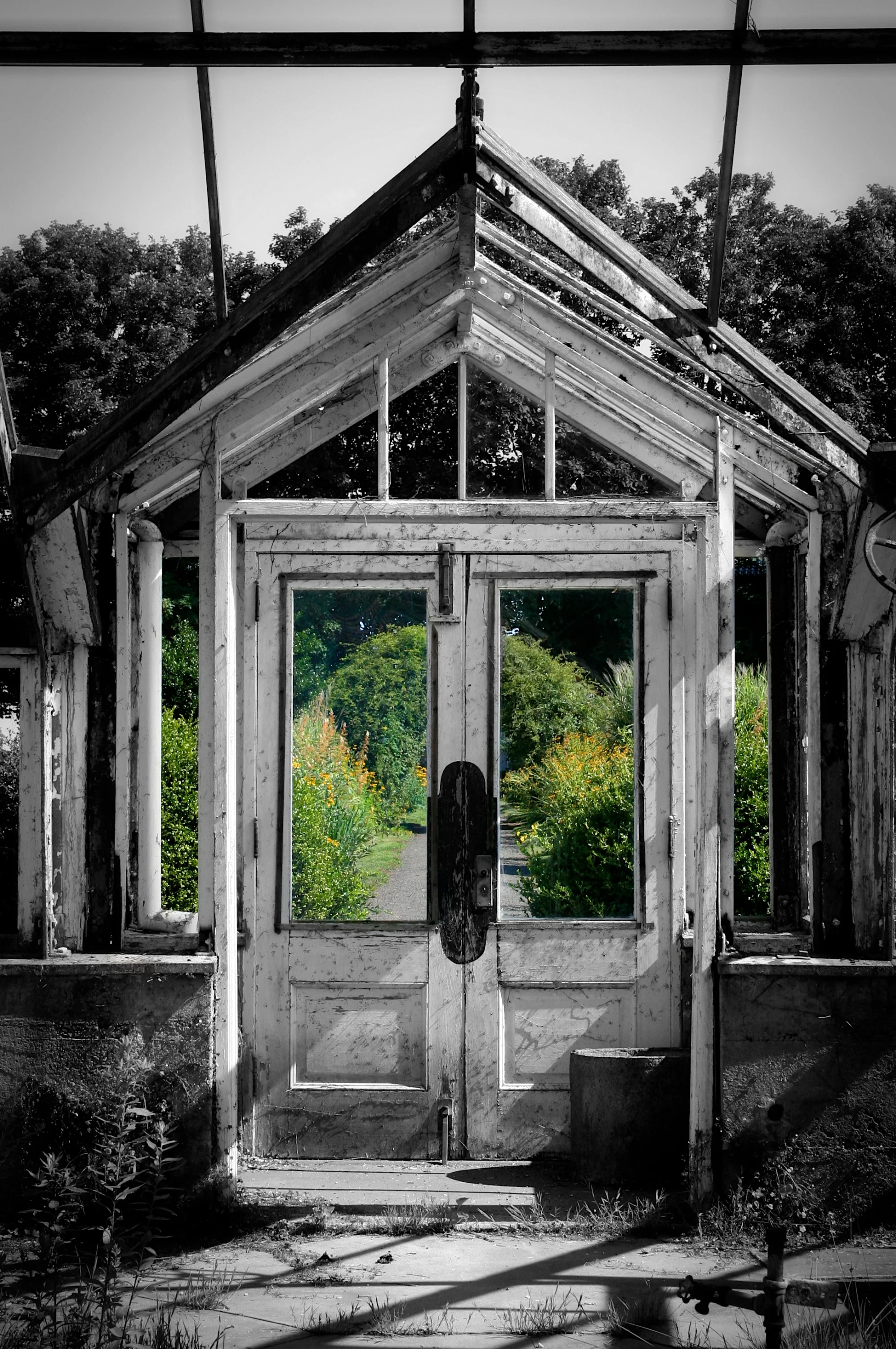 _MG_1555 - Version 2 - Version 2.jpg