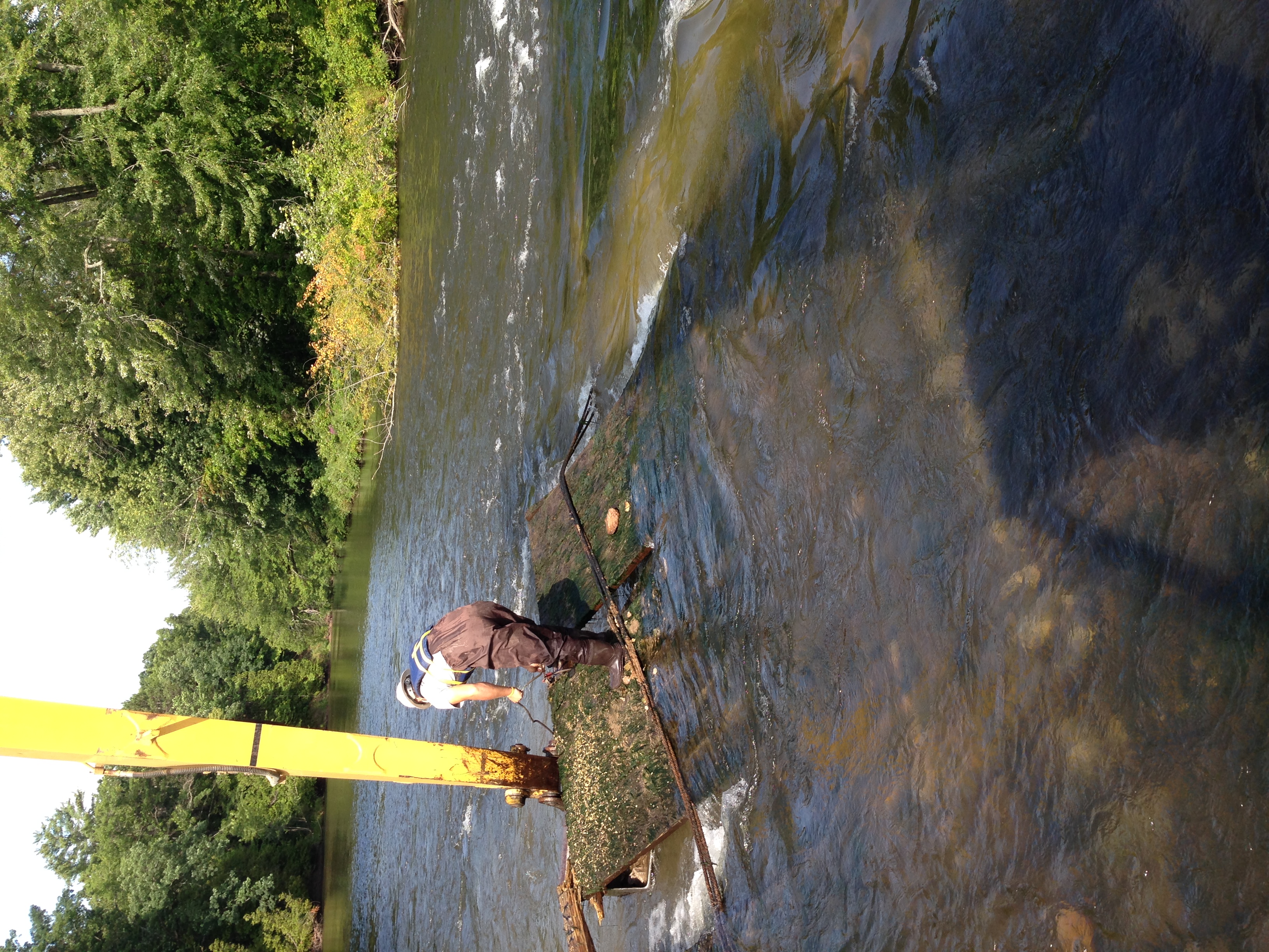  Custer Barrier Free Fish Access Project: removing barrier 