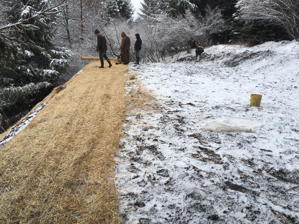  Topsoil/blanket septic drainfield 