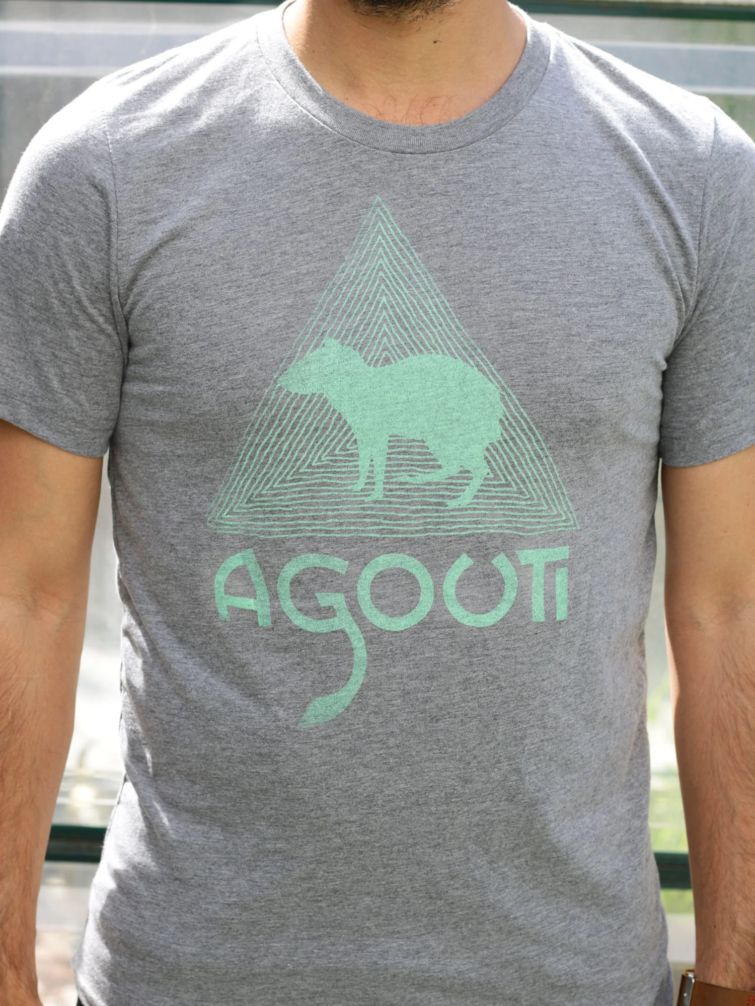 Agouti Tee, Grey