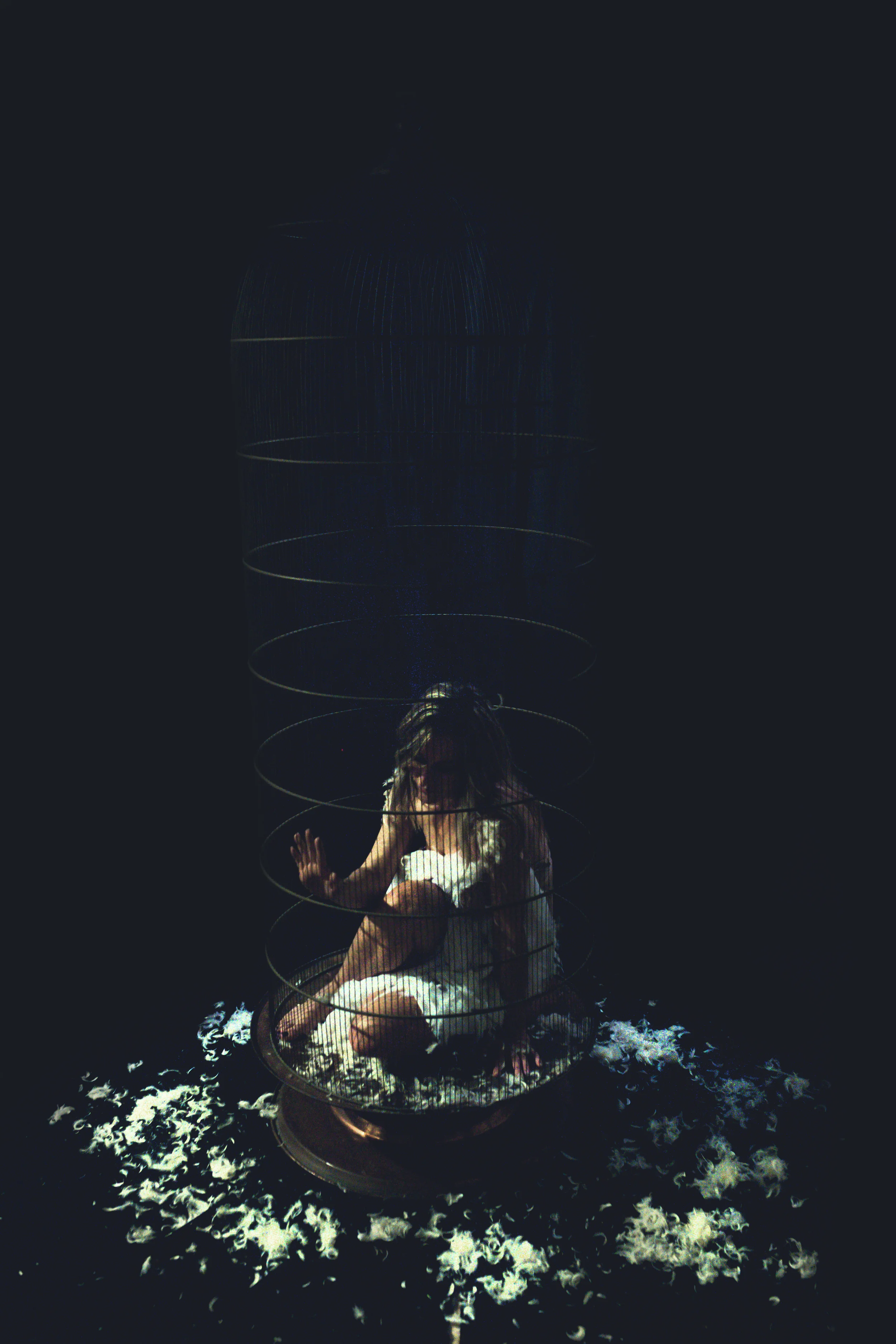 Birdcage-fine-art.jpg