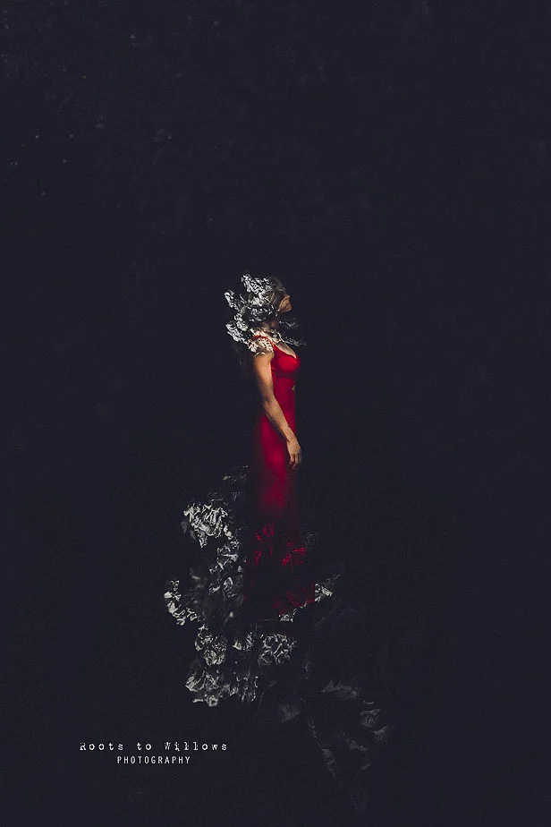Poinsettia_Roots_to_Willows_Photography.jpg