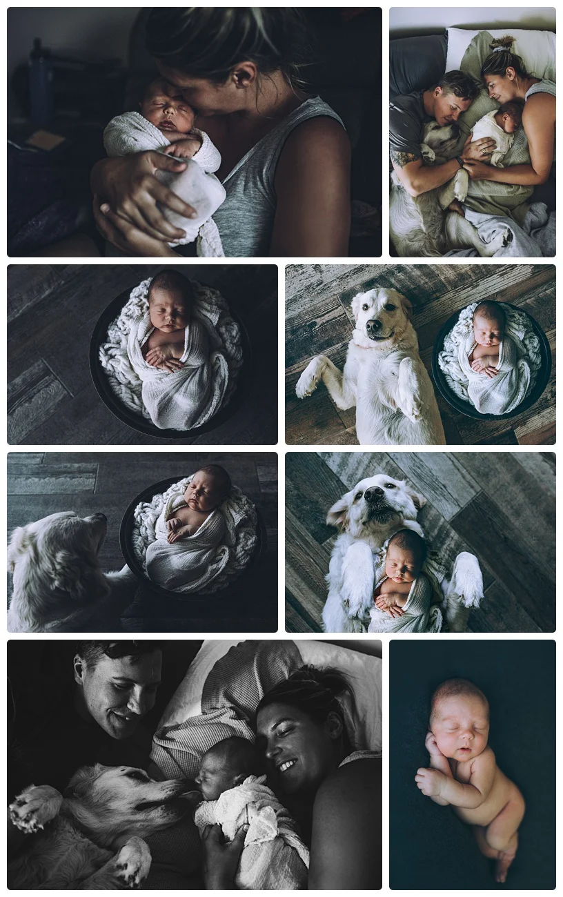 Roots_to_Willows_Photography_newborns.jpg