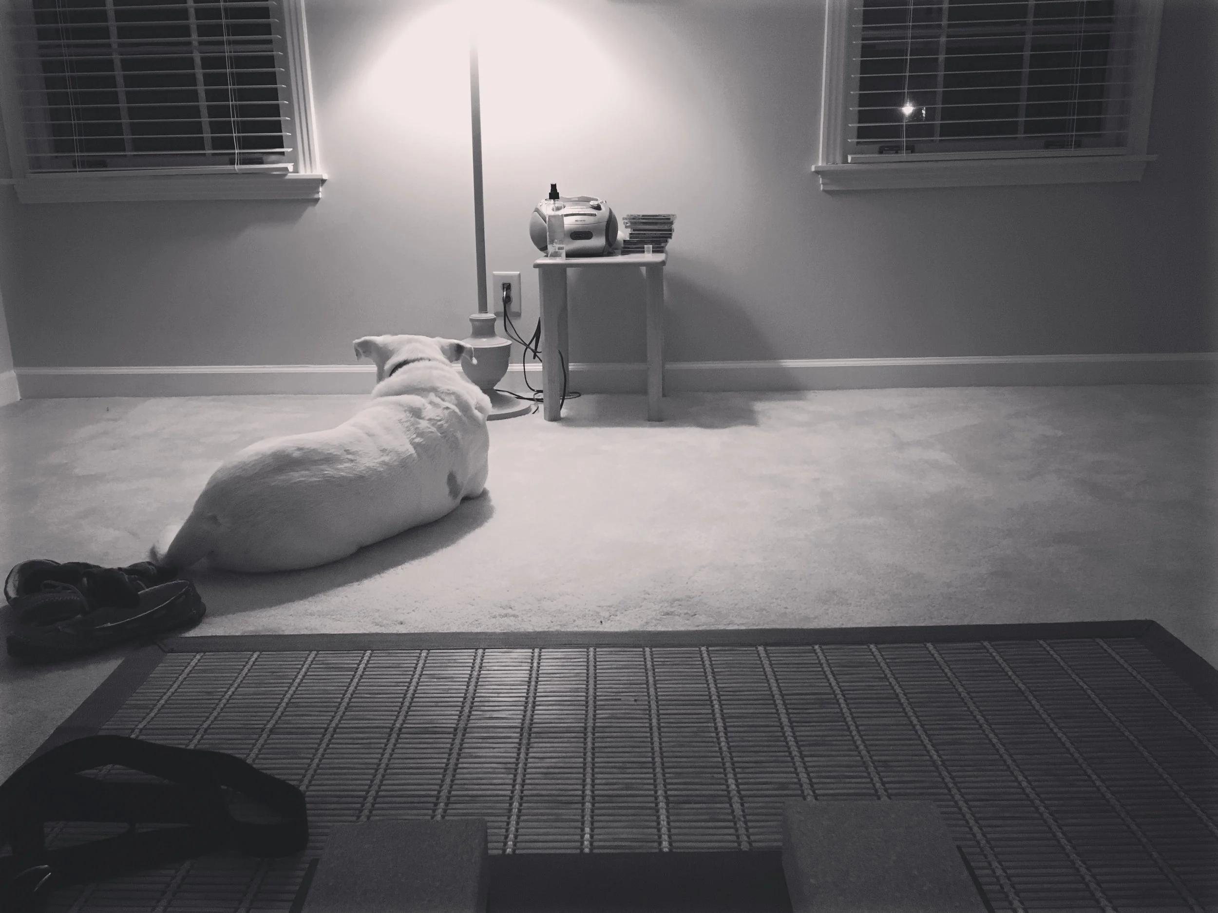 View From the Yoga Mat Feast of the Epiphany, 2017