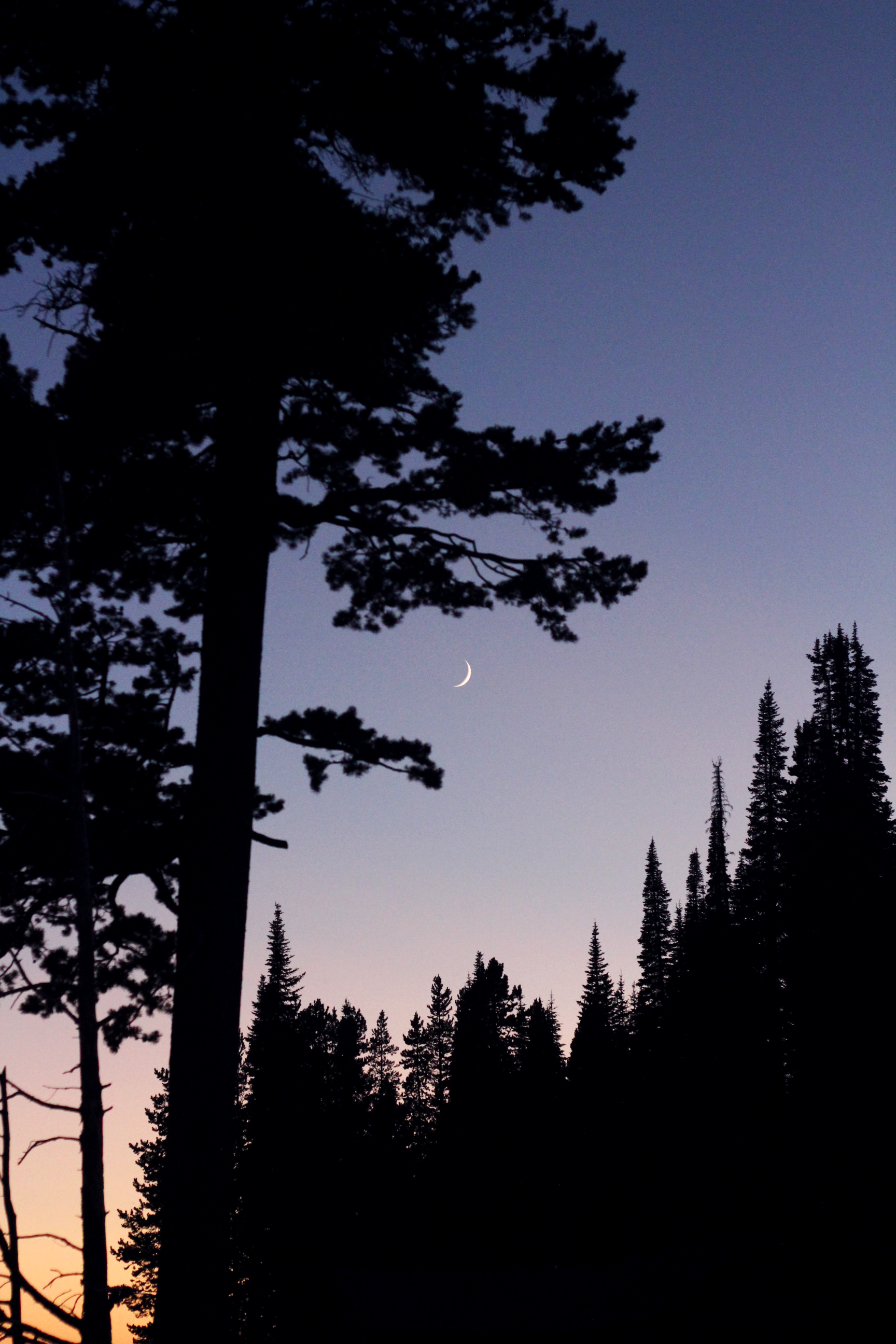 moon1.png