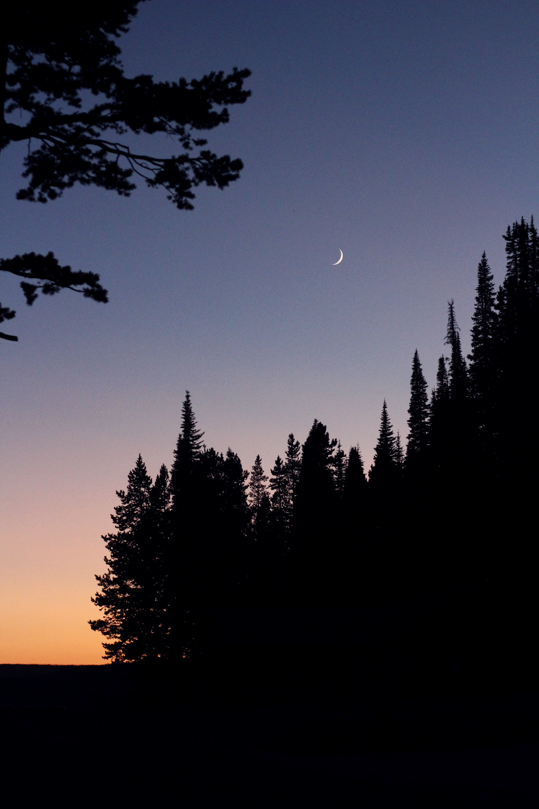 moon2.png
