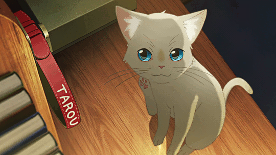 Seasonal Anime Checkup OVA Episode #191 - A Whisker Away episode artwork