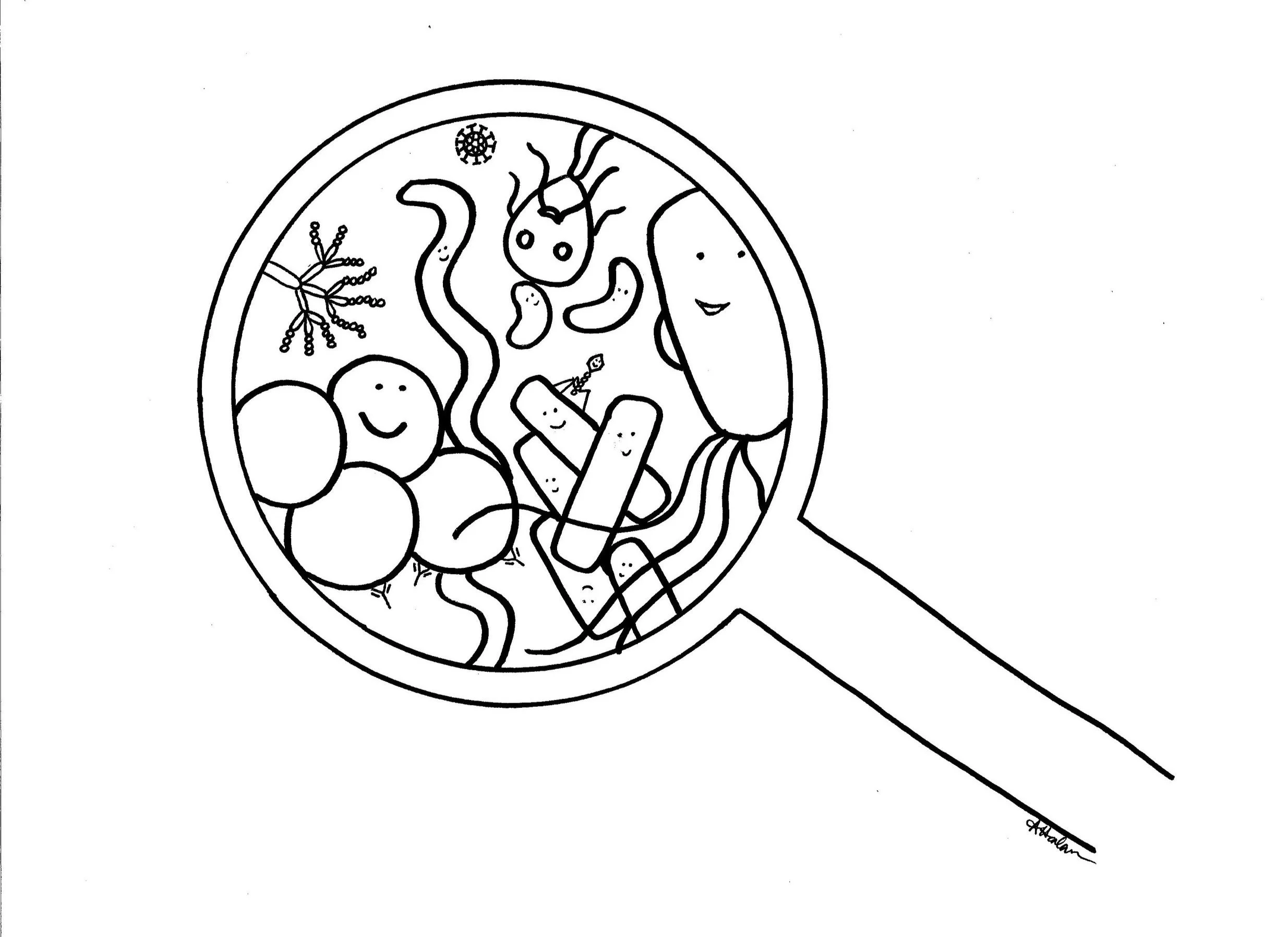 Microbes+inoculating+loop.jpg