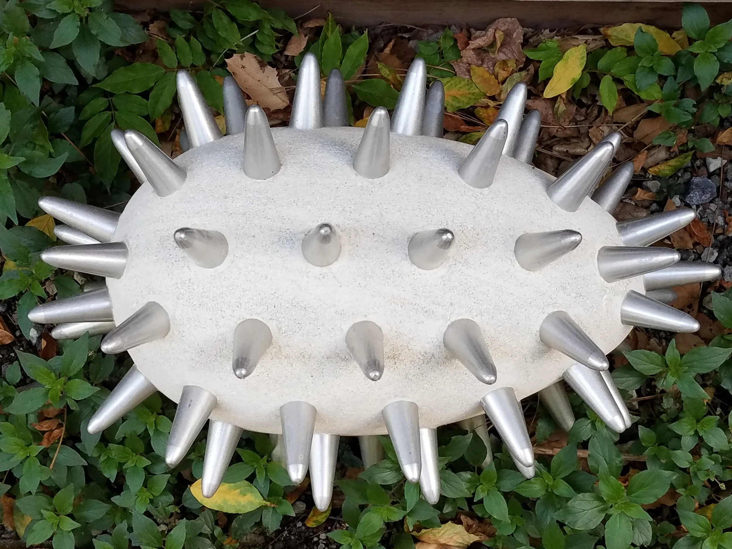 Prickly Egg