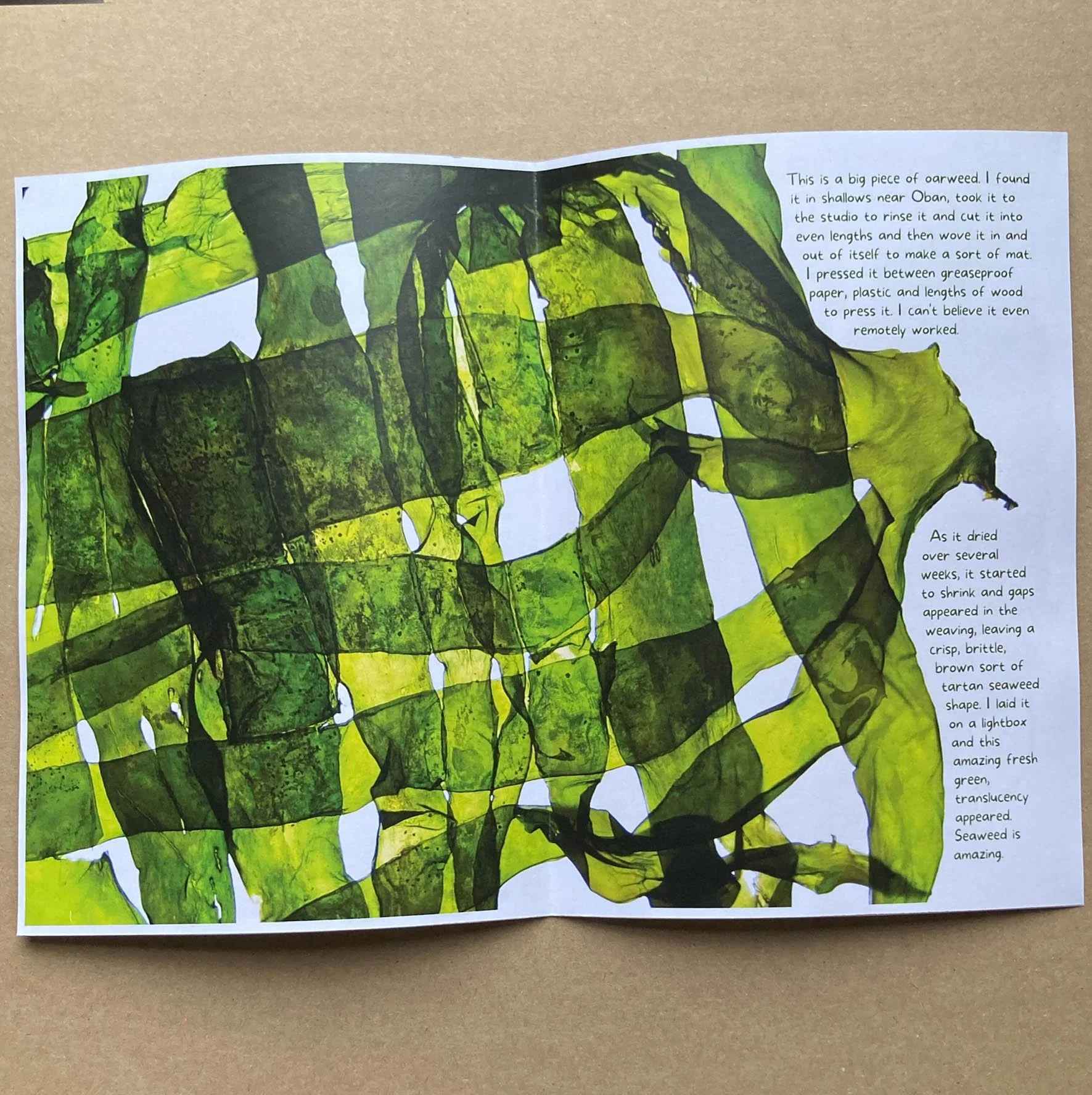 3 seaweed zine rosie cunningham.jpg