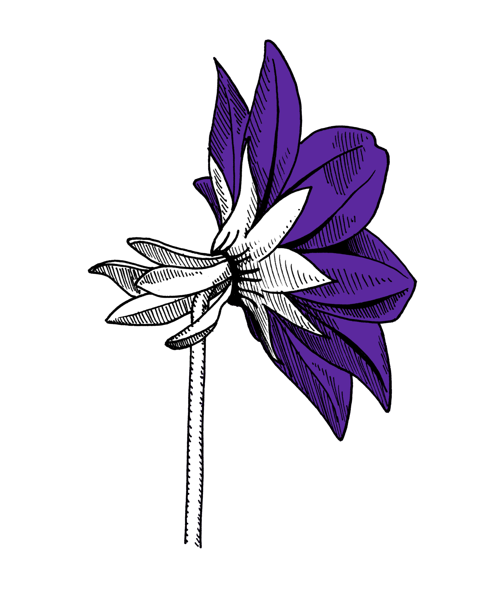 6 flower 2.jpg