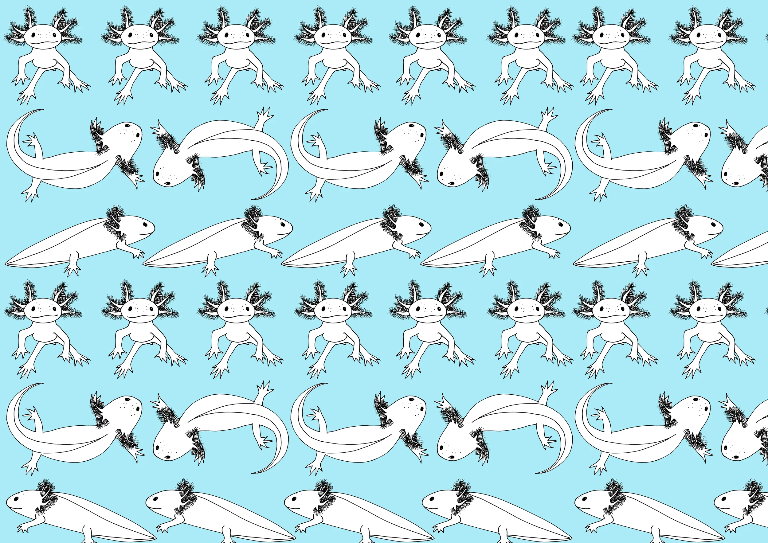 3 axolotl ROSEMARY CUNNINGHAM.jpg