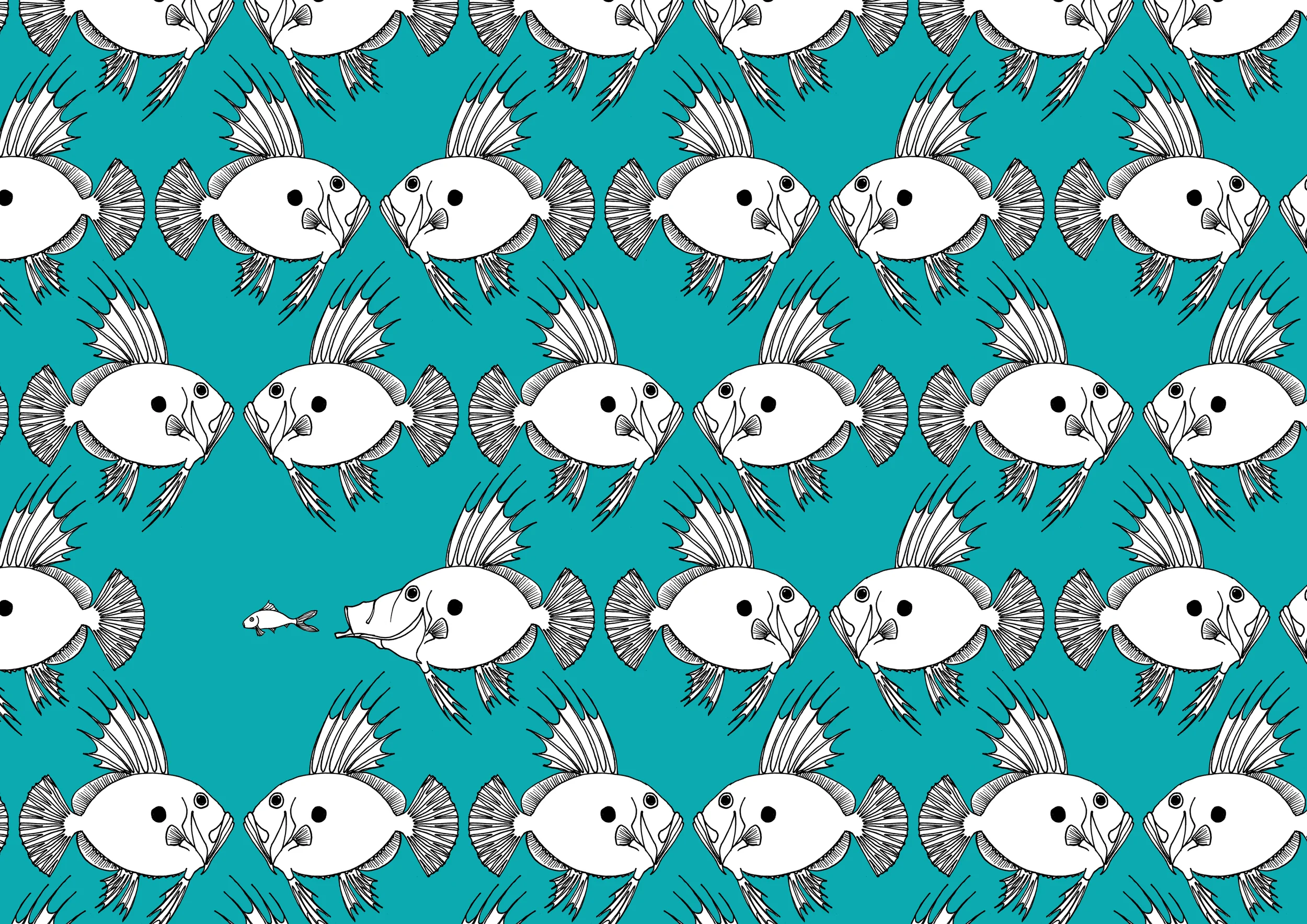 8 john dory colour ROSEMARY CUNNINGHAM.jpg