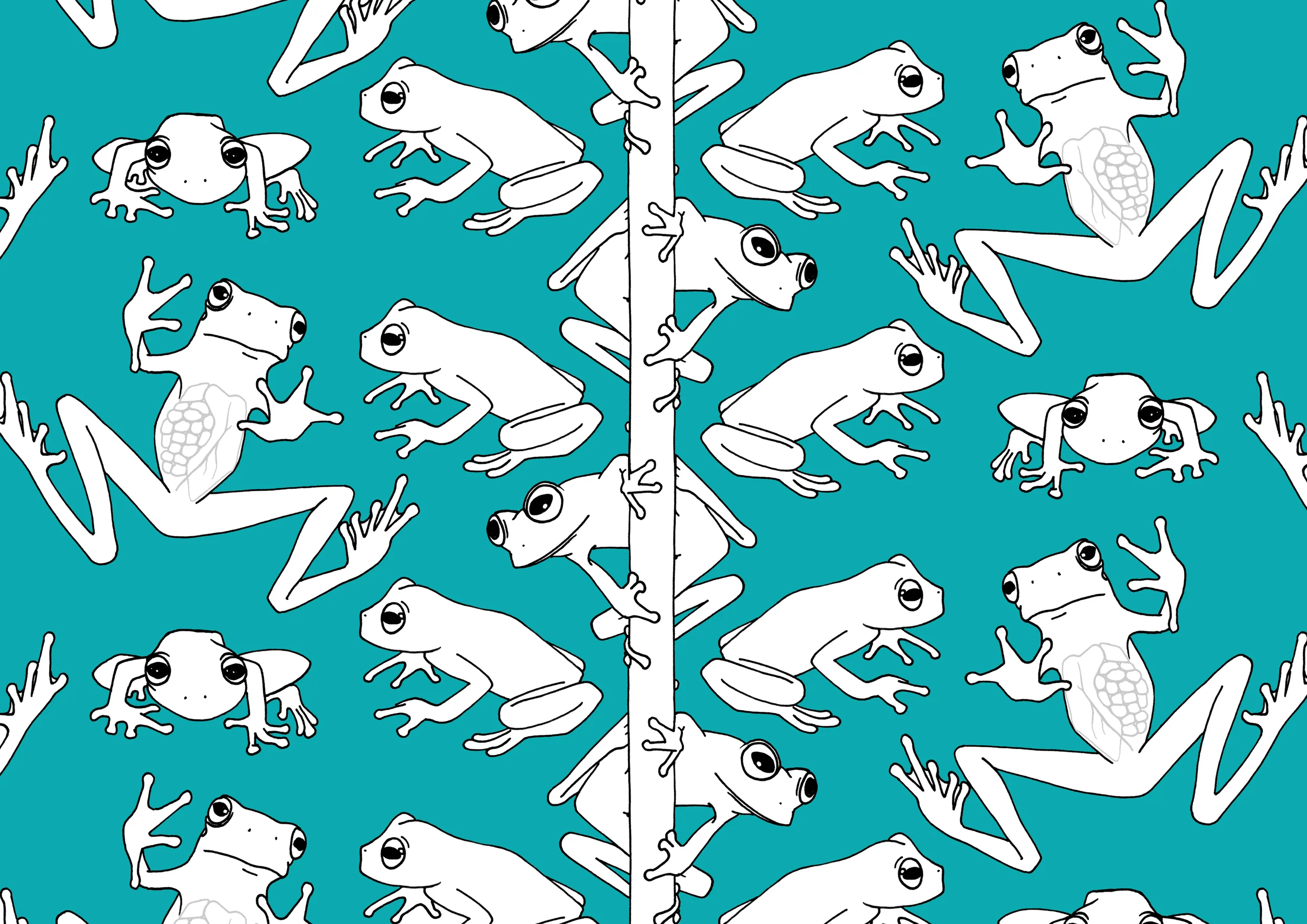 11 frog ROSEMARY CUNNINGHAM.jpg