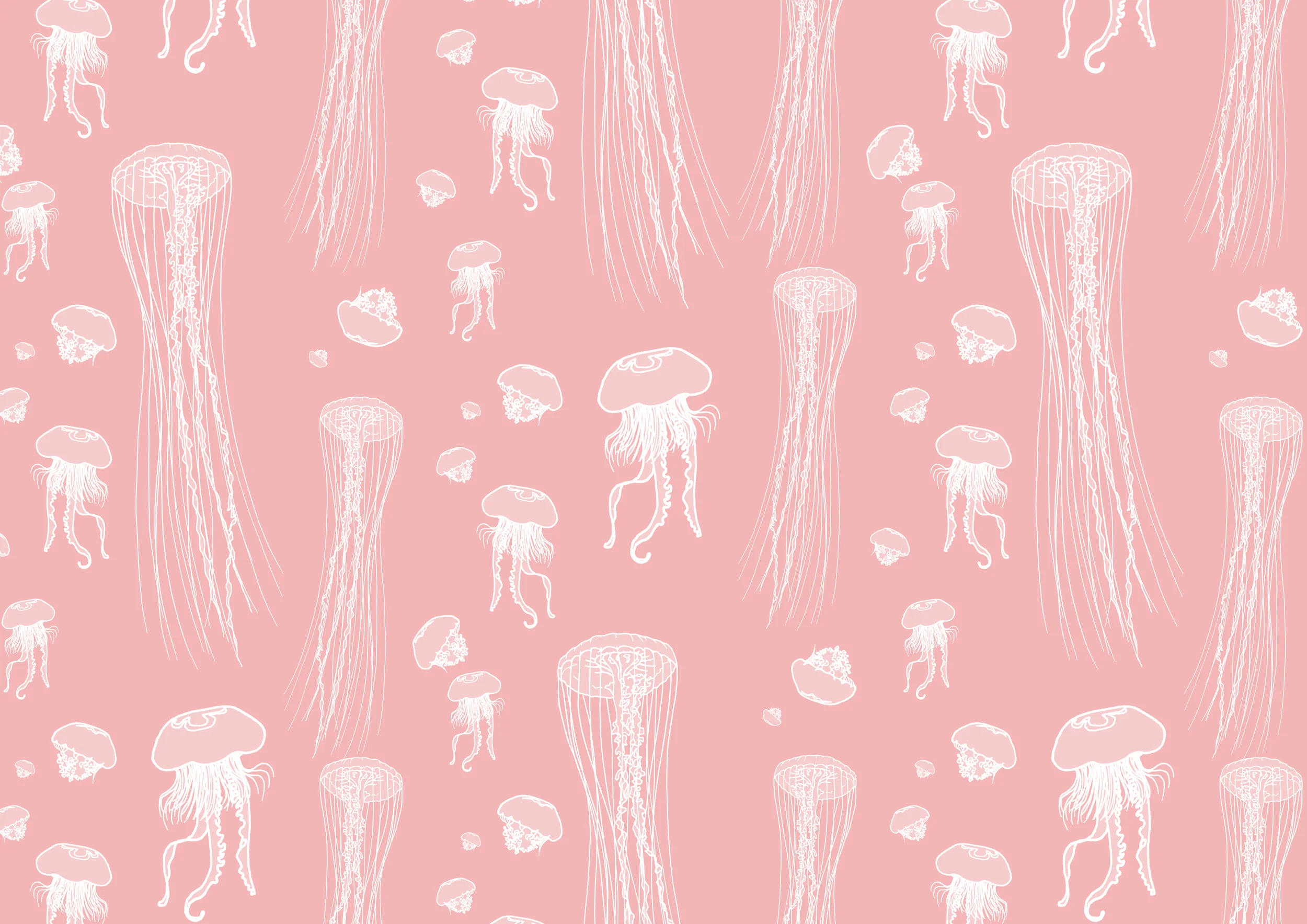 jellyfish ROSEMARY CUNNINGHAM.jpg