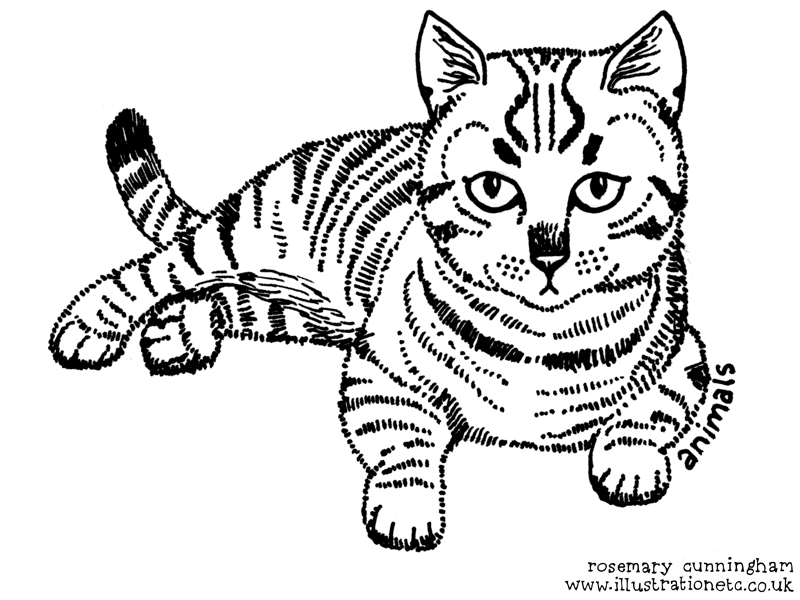 17.2.16 cat madlove rosemary cunningham.jpg
