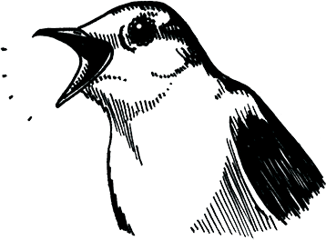 bird-singing-rosemary-cunningham.png