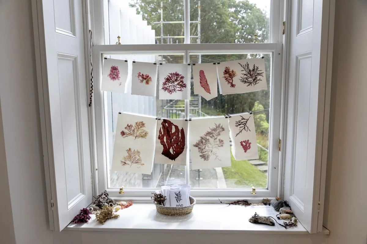 0J4A5136 seaweed window 1 copyJAMIE WARDROP - rosie cunningham .jpg