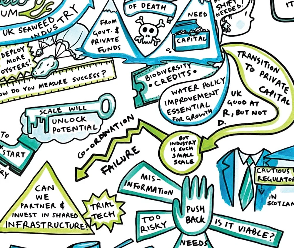 web Rebalance Earth seaweed symposium live illustration by Rosie Cunningham 4.jpg