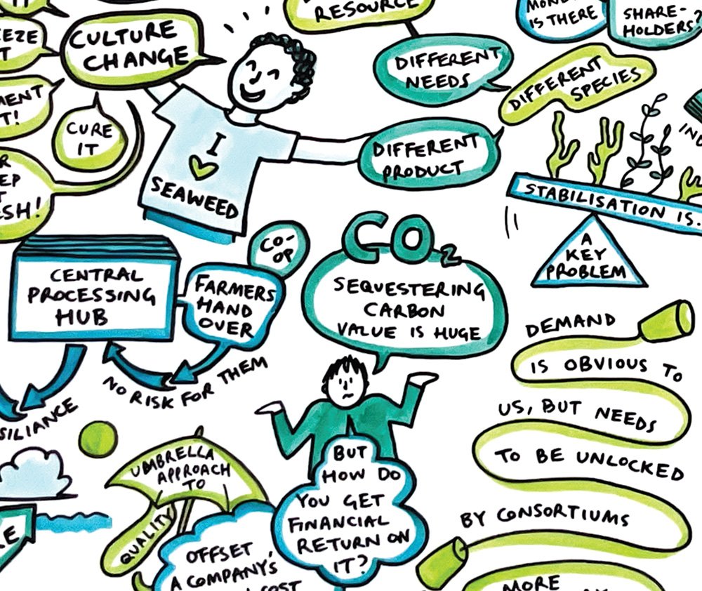 web Rebalance Earth seaweed symposium live illustration by Rosie Cunningham 5.jpg