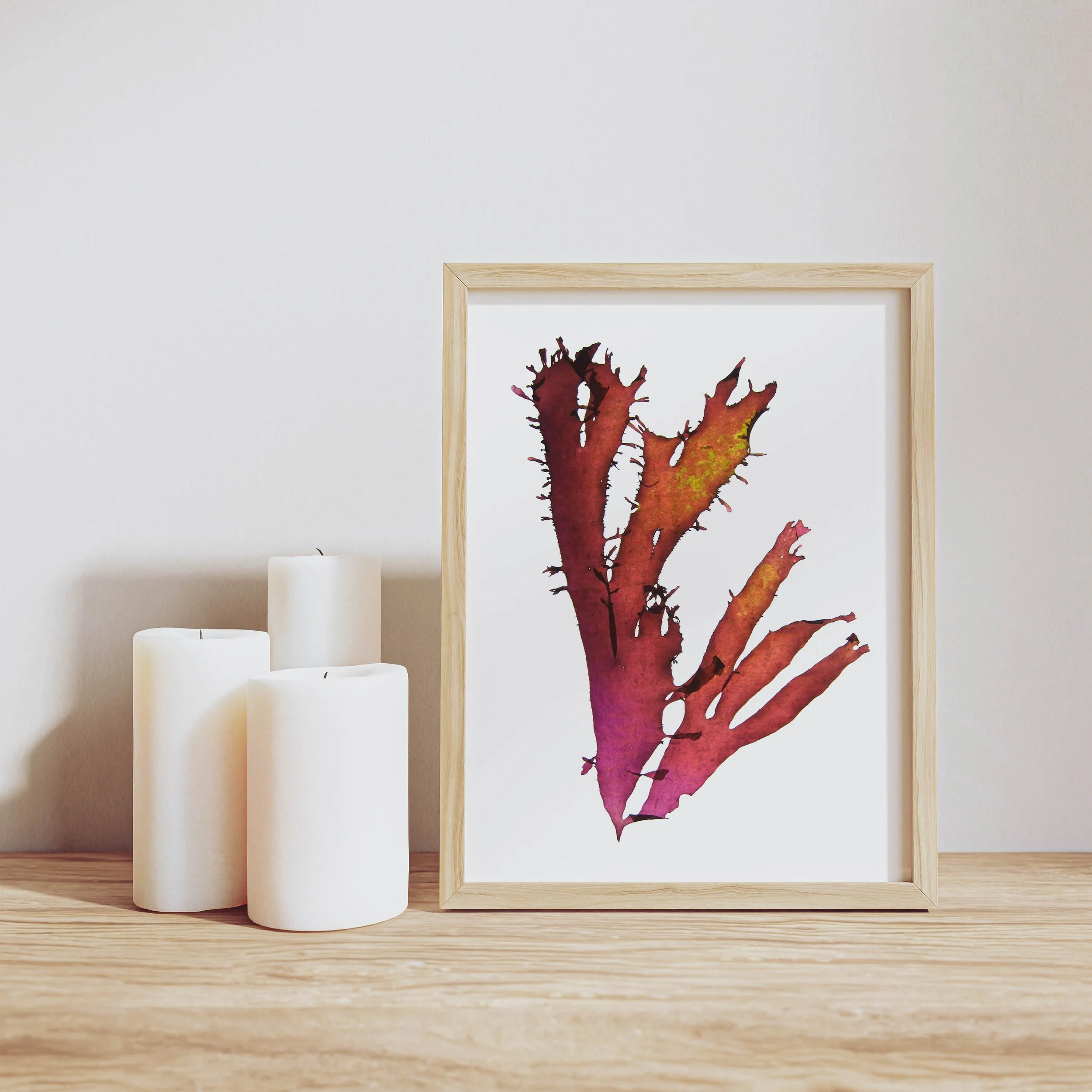 A4 print eyelash weed fade 1 rosie cunningham frame.jpg