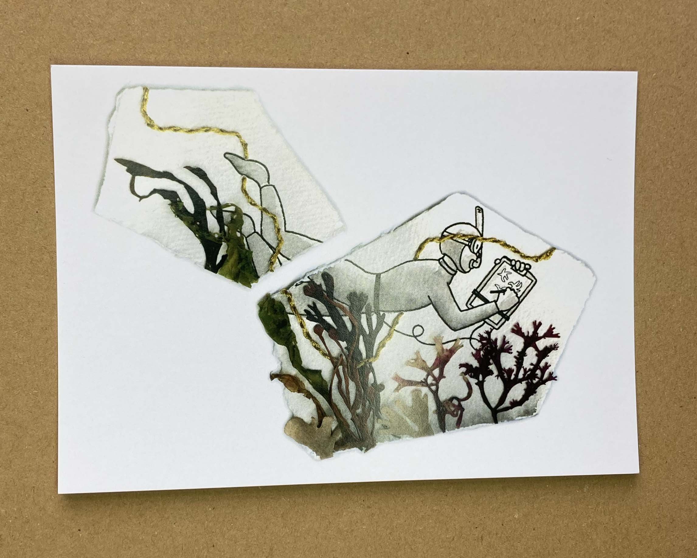 fragments diving rosie cunningham.jpg