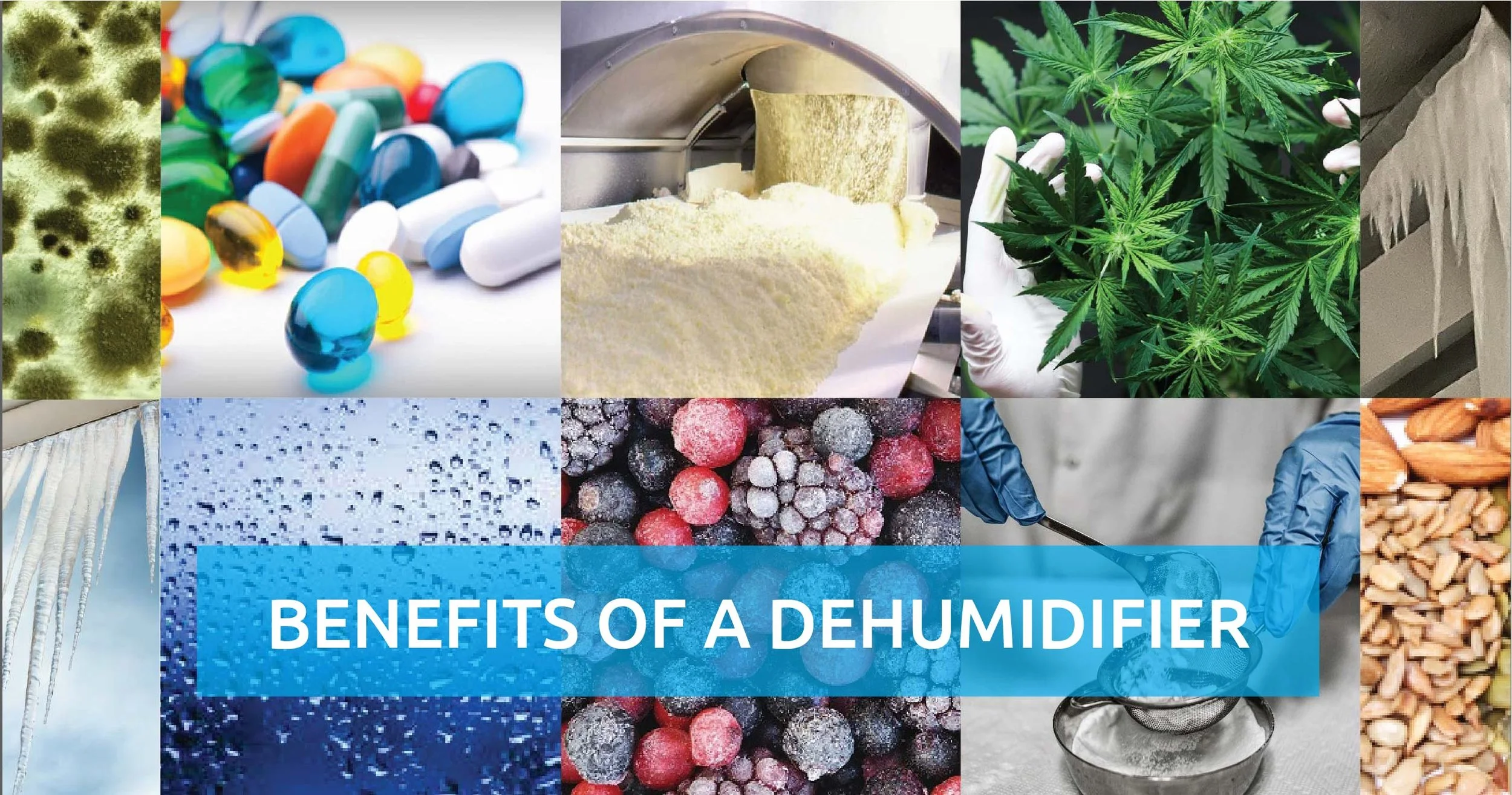 Humiscope - Dehumidifier Specialists