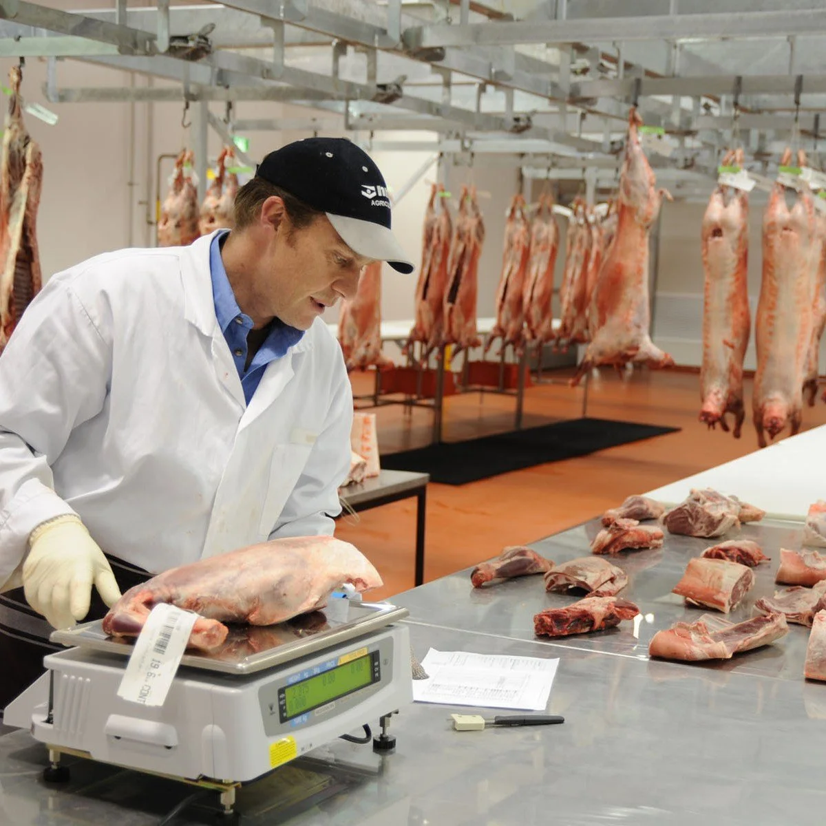 Meat Processing