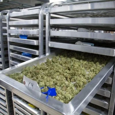 Industrial drying racks with dehumidification system for controlled cannabis curing environment