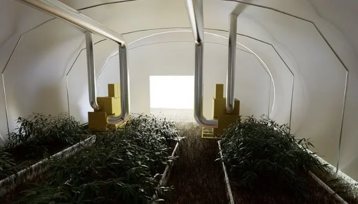 Commercial grow room with industrial controlled environment and humidity systems for consistent plant growth