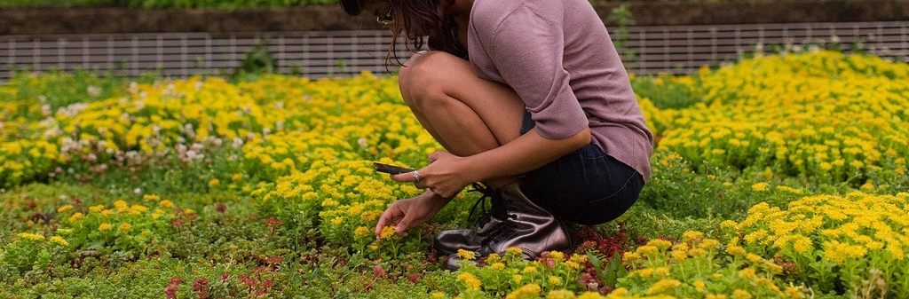 Copy of Summer_Solstice-15.jpg