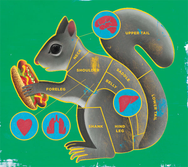 Image Credit : Peter Thomas Ryan; From Chicken of the Trees by Mike Sula