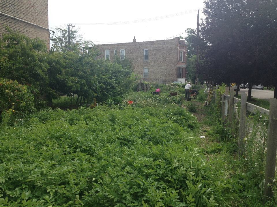Join us in the preSERVE garden this Saturday 8/8.