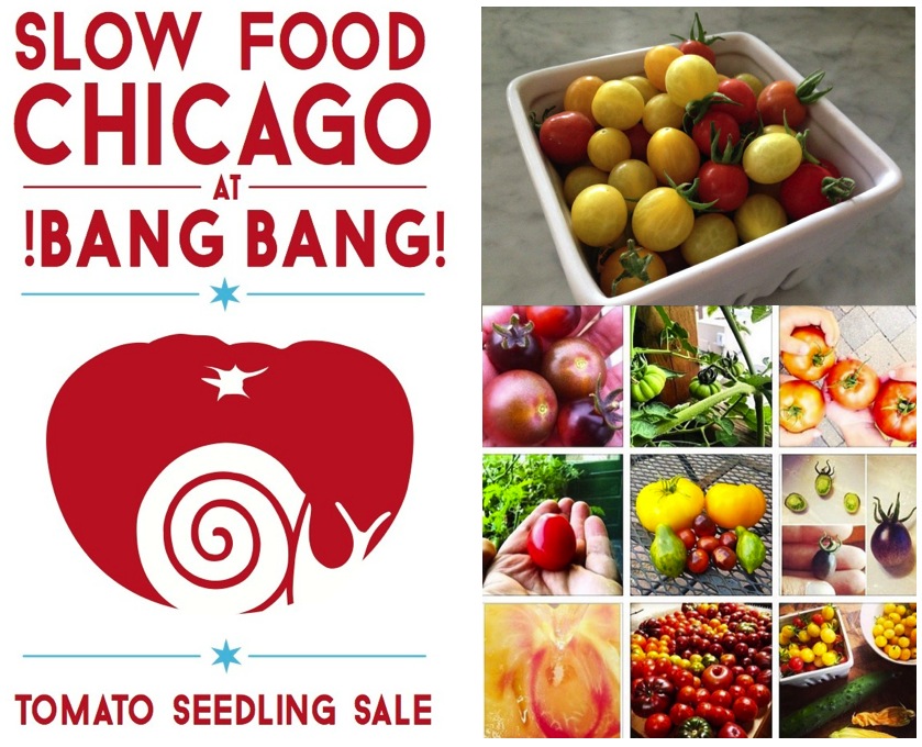 Join us this Saturday, May 14th, 2016 for our Annual Heirloom Tomato Seedling Sale at Bang!Bang! Pie Shop.