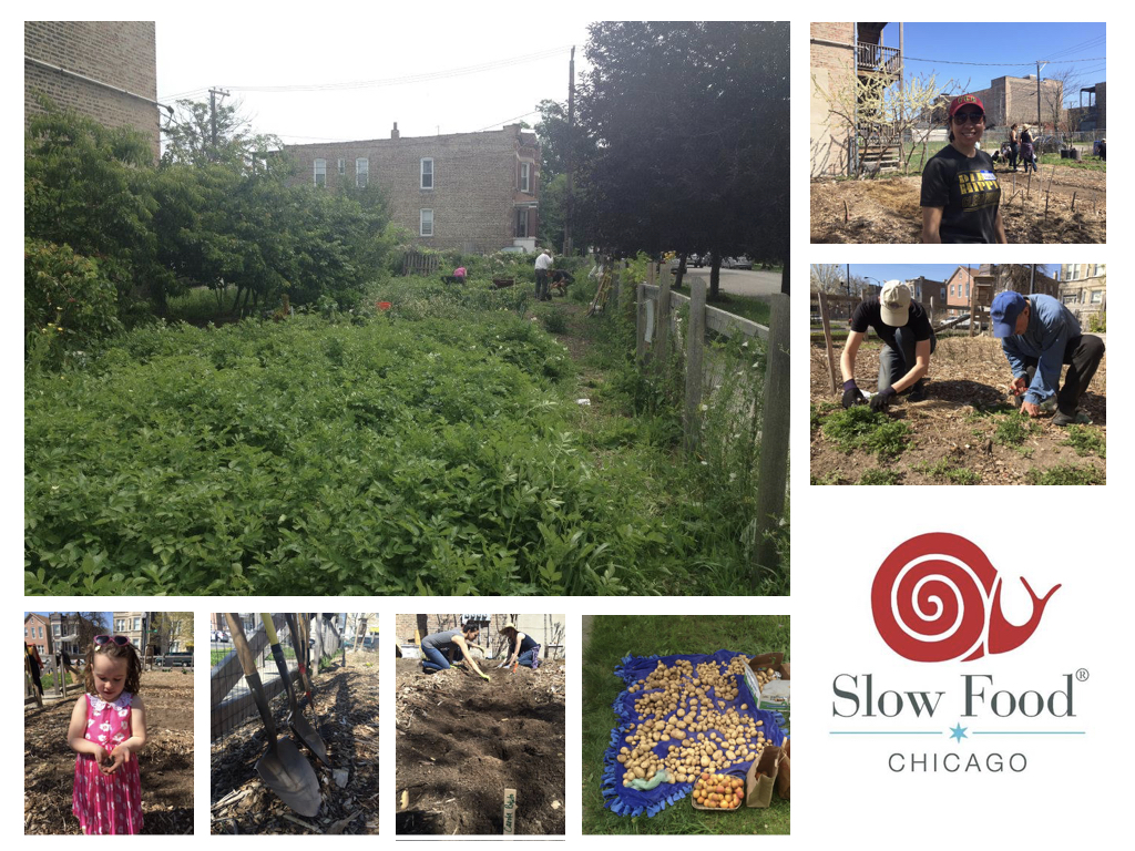 Images from the 2016 preSERVE Garden volunteer season.