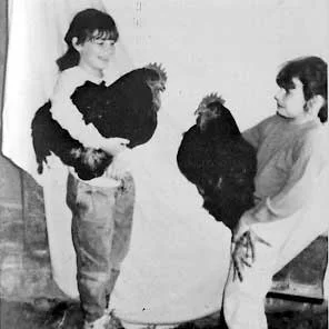 Jersey Giant Chickens on the Ark of Taste. Photo from slowfoodusa.org.