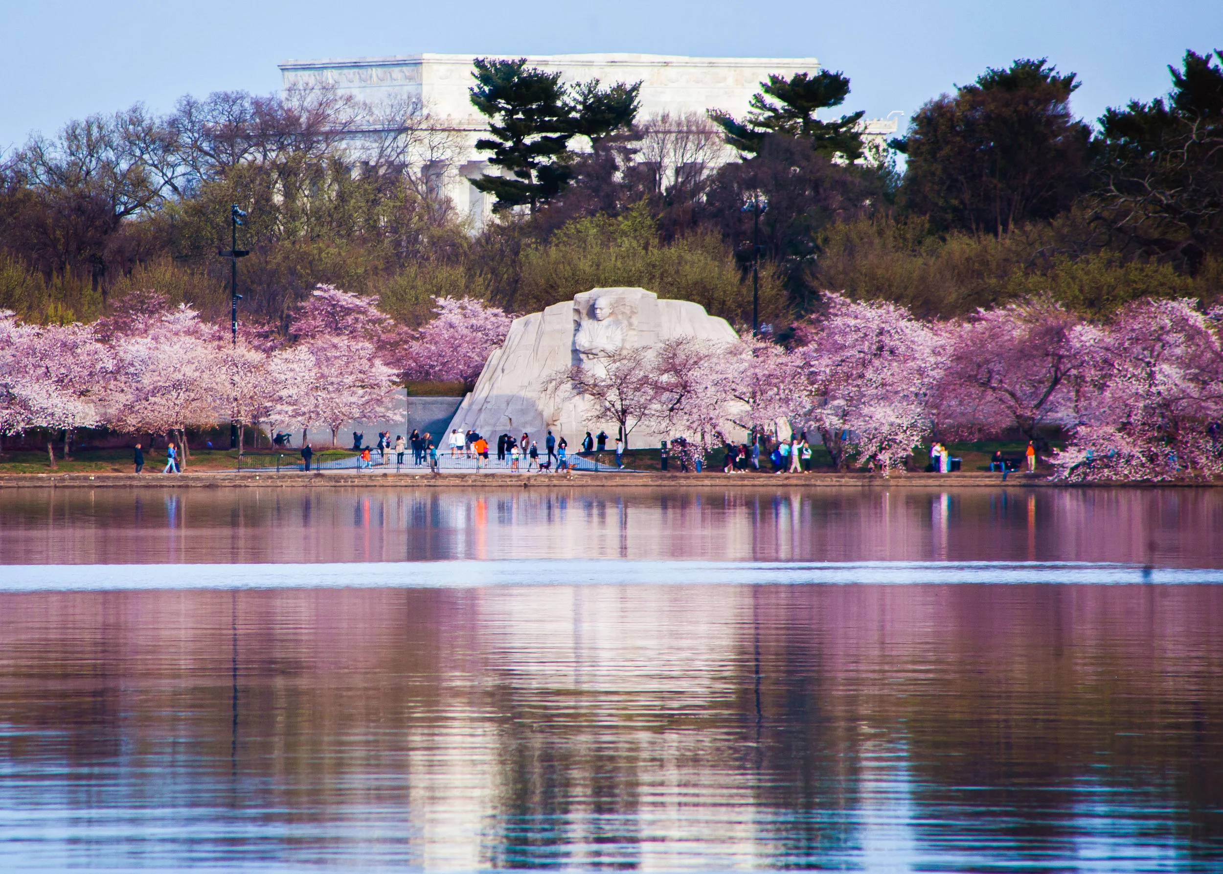 National Cherry Blossom Festival 2019 DC — Lincoln Photography