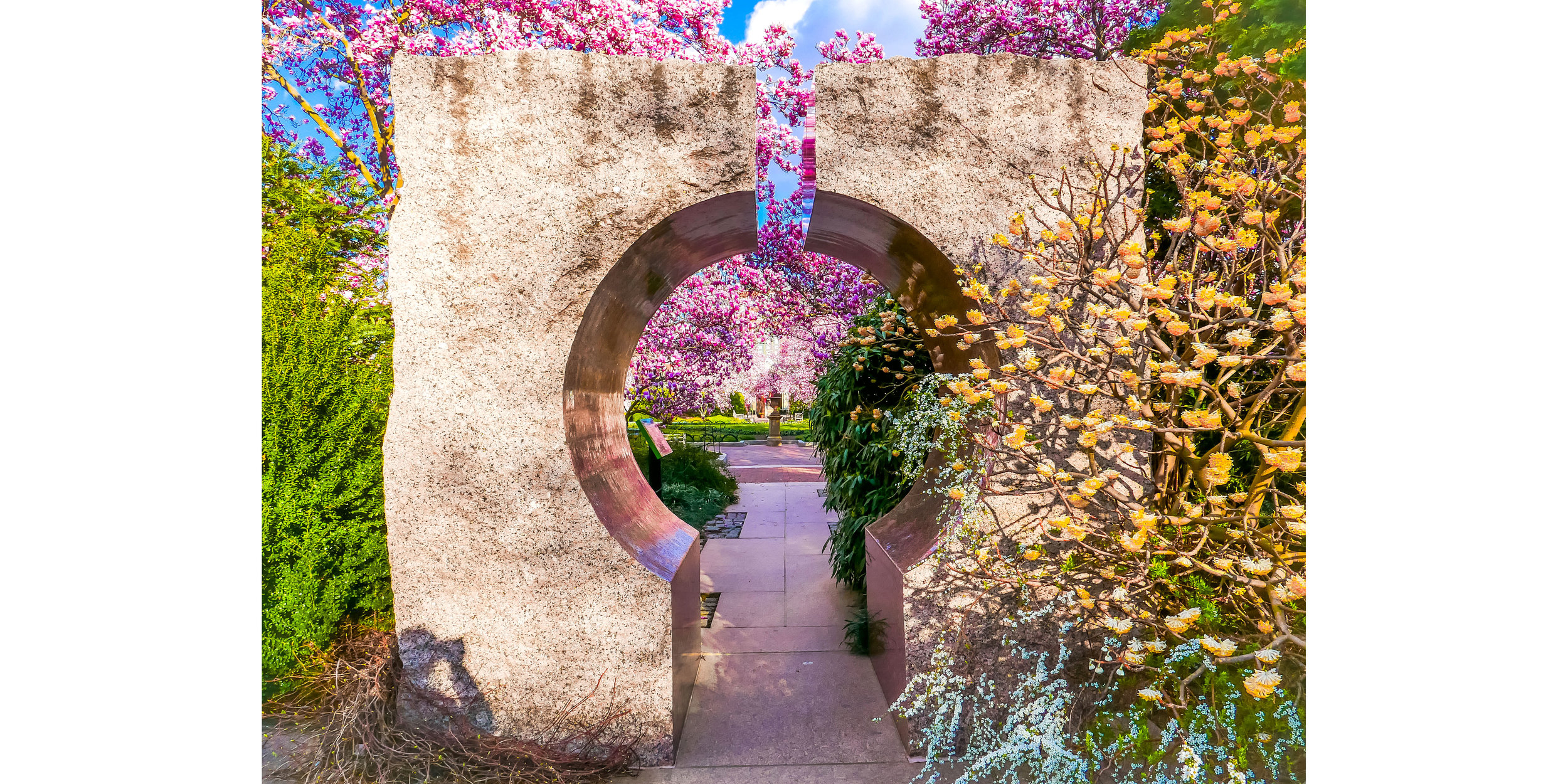 Smithsonian Garden - Cherry Blossoms 2017 - 006.jpg