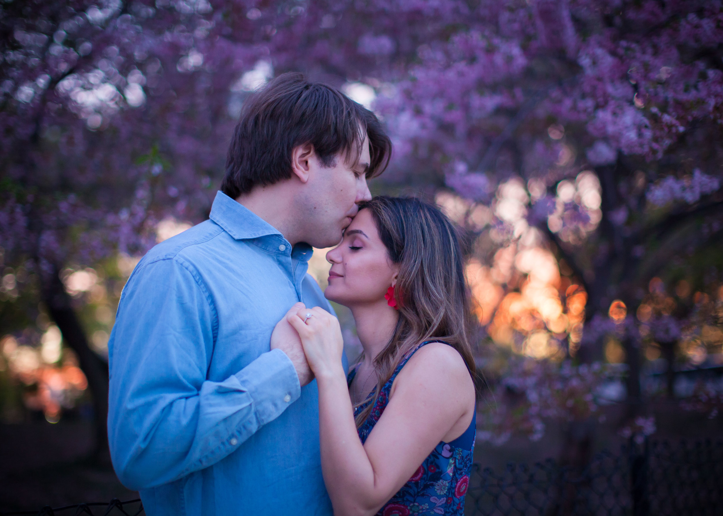 Hannah & Joe Cherry Blossom Engagement - 010.jpg