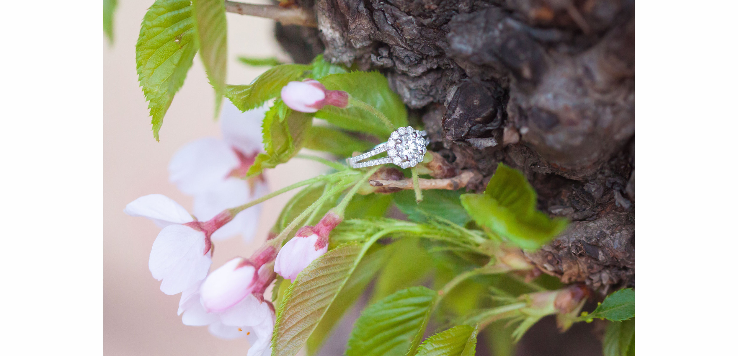 *Donal & Fernanda Cherry Blossom Portraits - 007.jpg