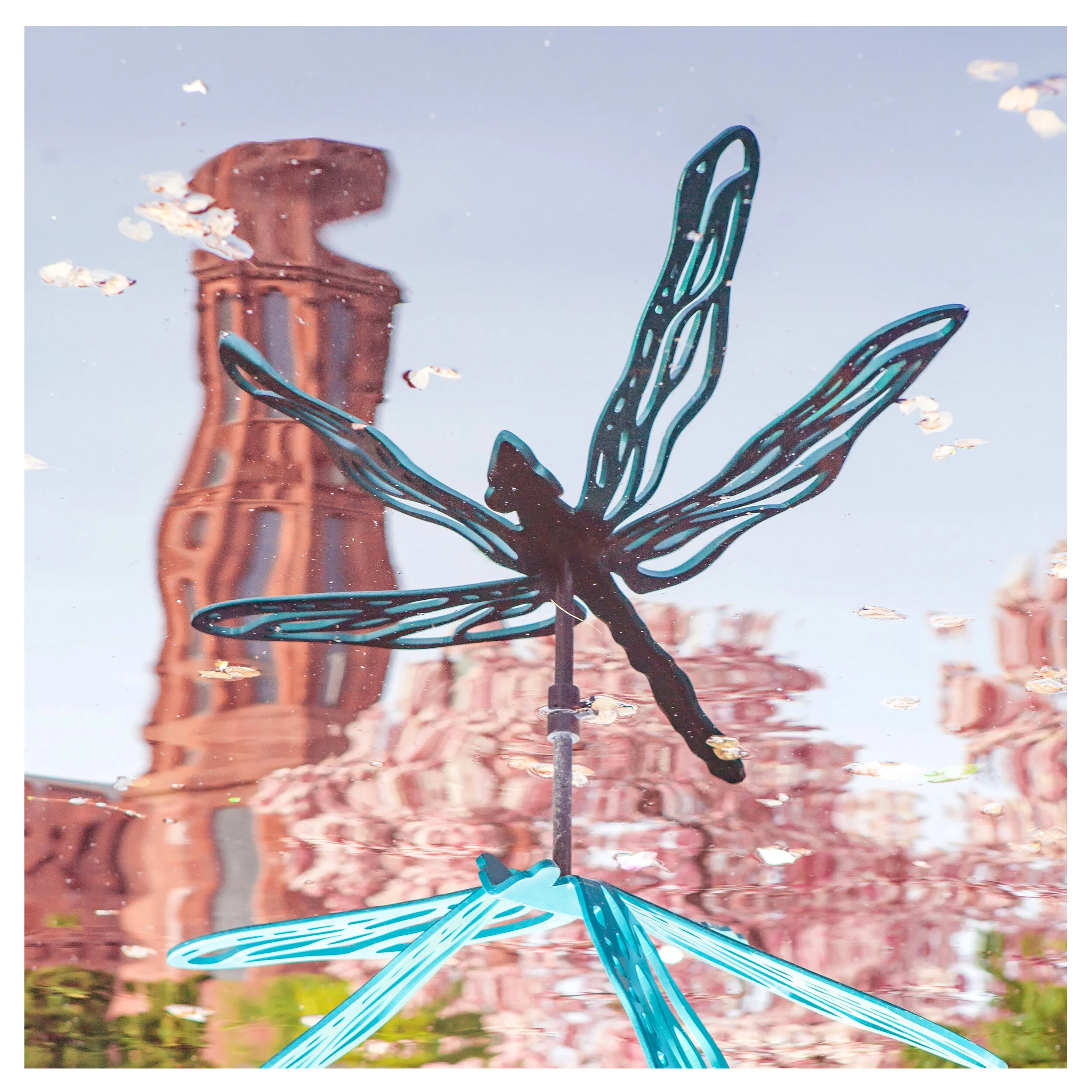 Dragonfly's Reflection