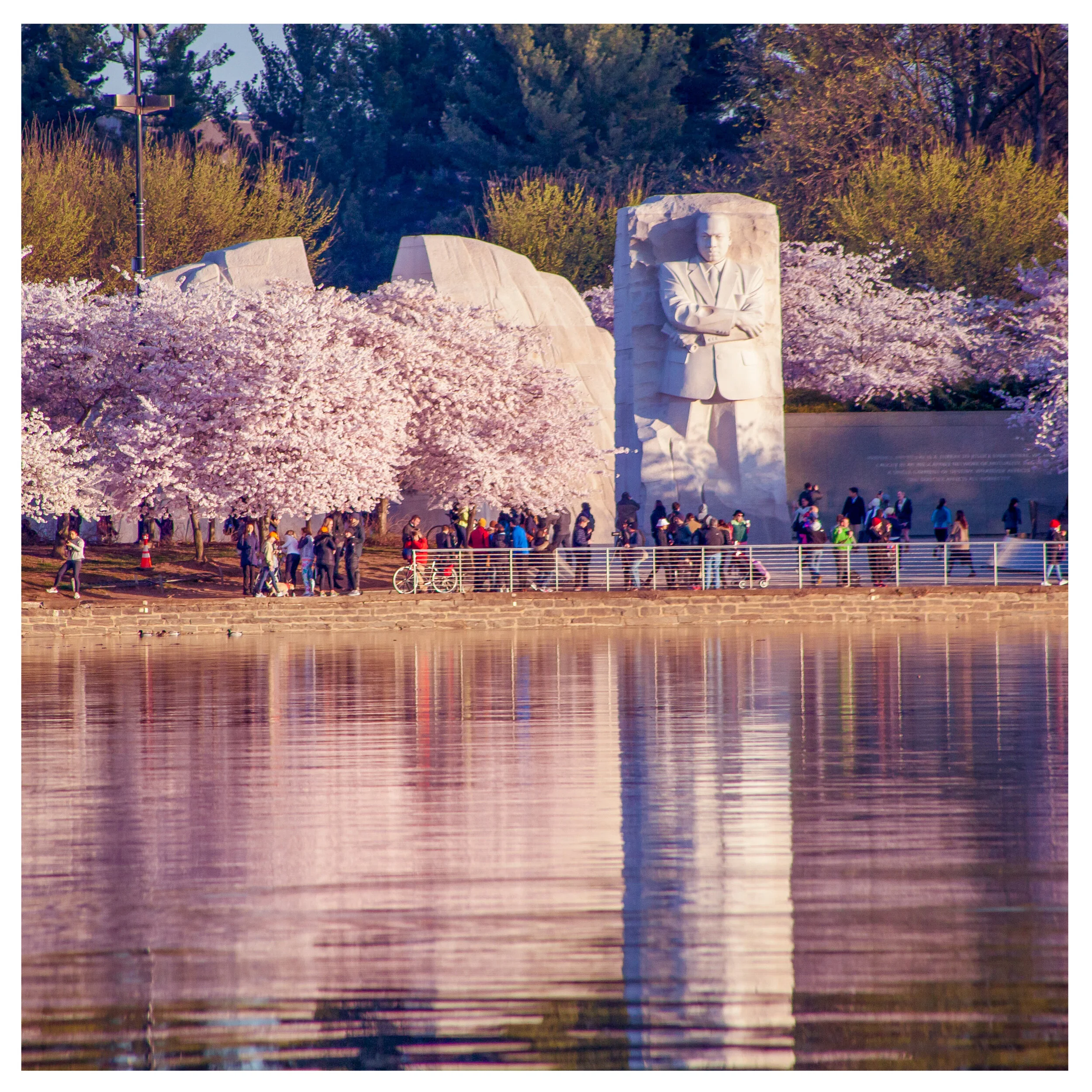 Martin Luther King Jr Memorial